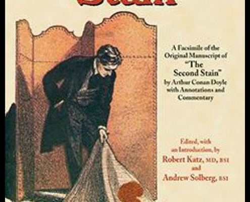 Book cover of Irregular Stain.