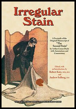 Book cover of Irregular Stain.